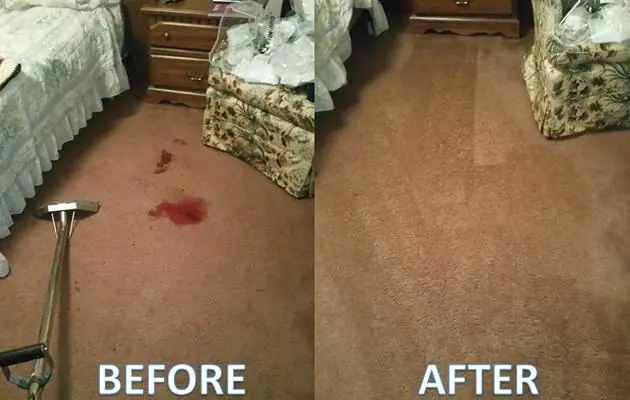Carpet Cleaning in Painesville, Ohio by Green and Clean Home Services