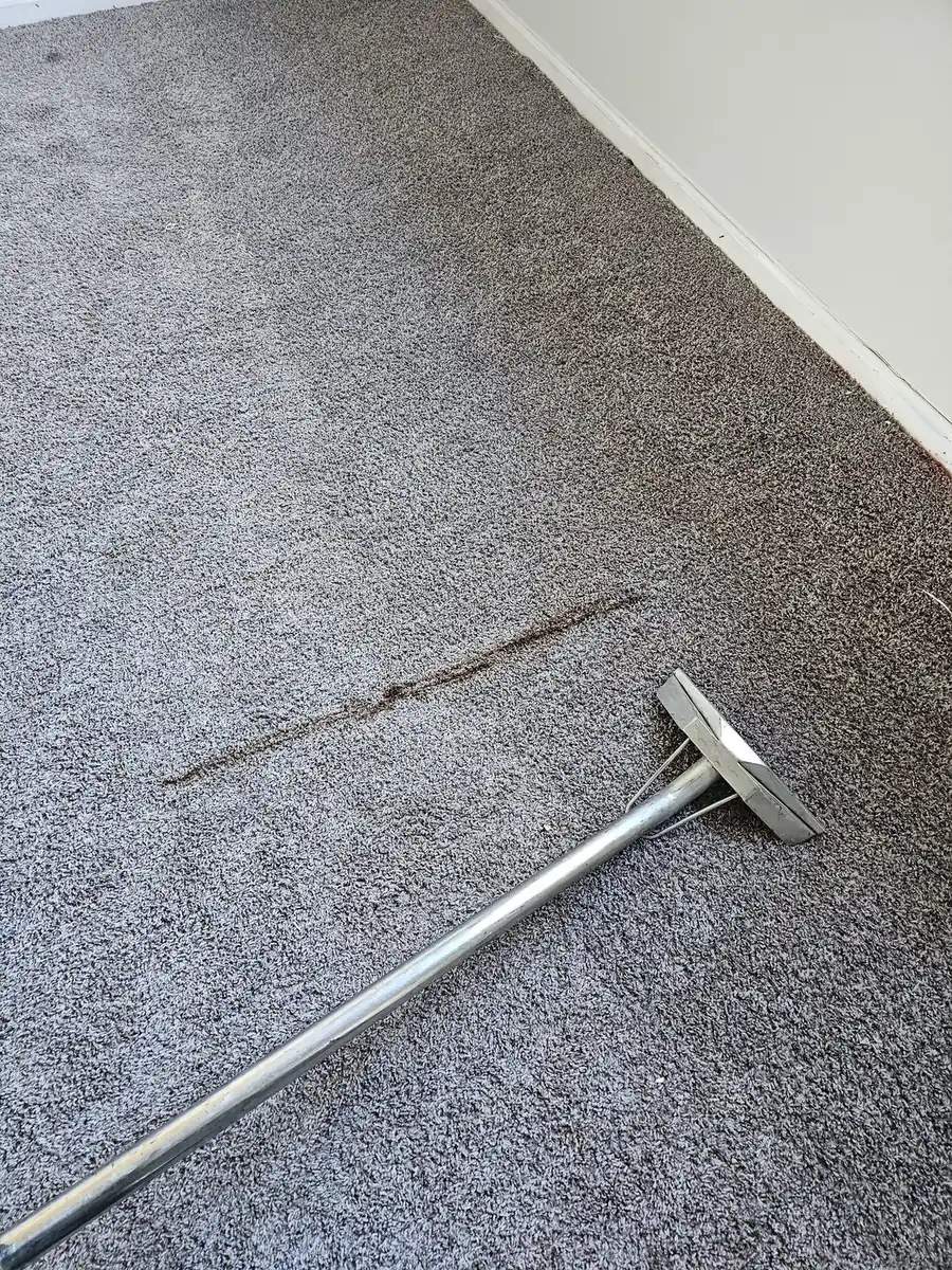Carpet Cleaning in Peninsula, Ohio