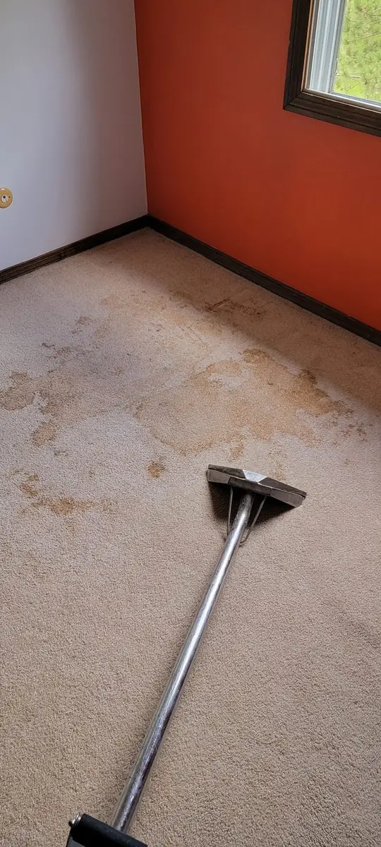Carpet Cleaning in Streetsboro, Ohio by Green and Clean Home Services