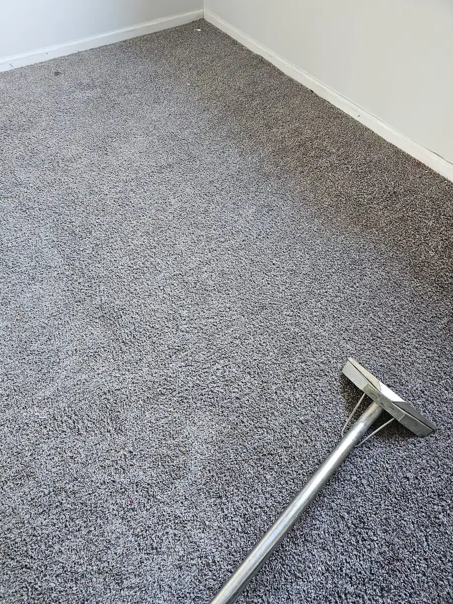 Cleaning an area rug