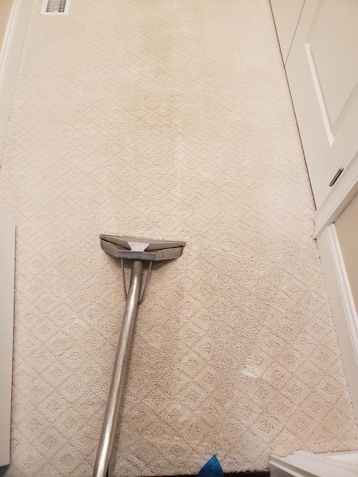 carpet cleaning near me