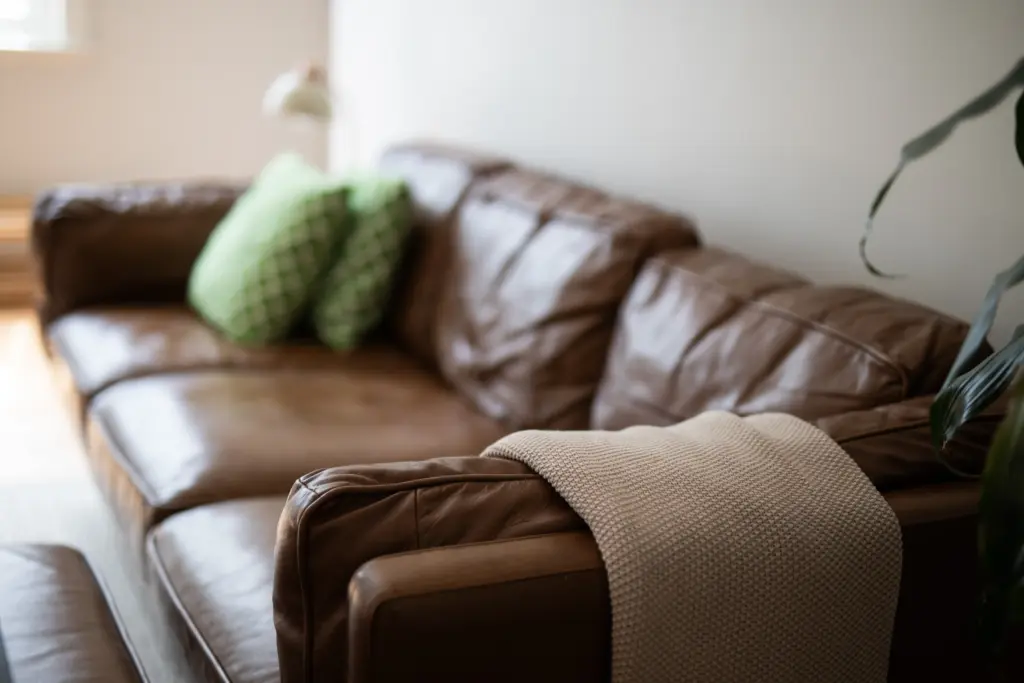 view of a modern lounge room