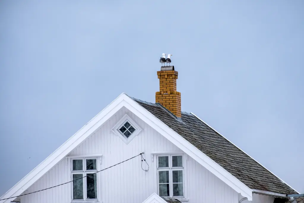 How Much Does a Chimney Inspection Cost