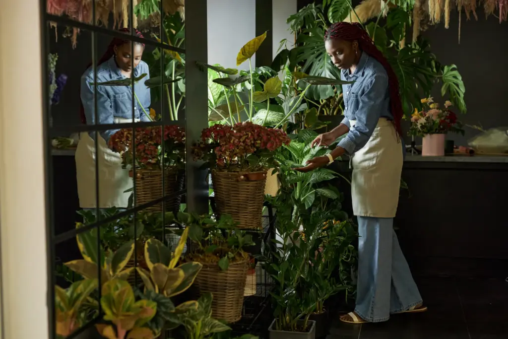 Best Indoor Air Cleaning Plants