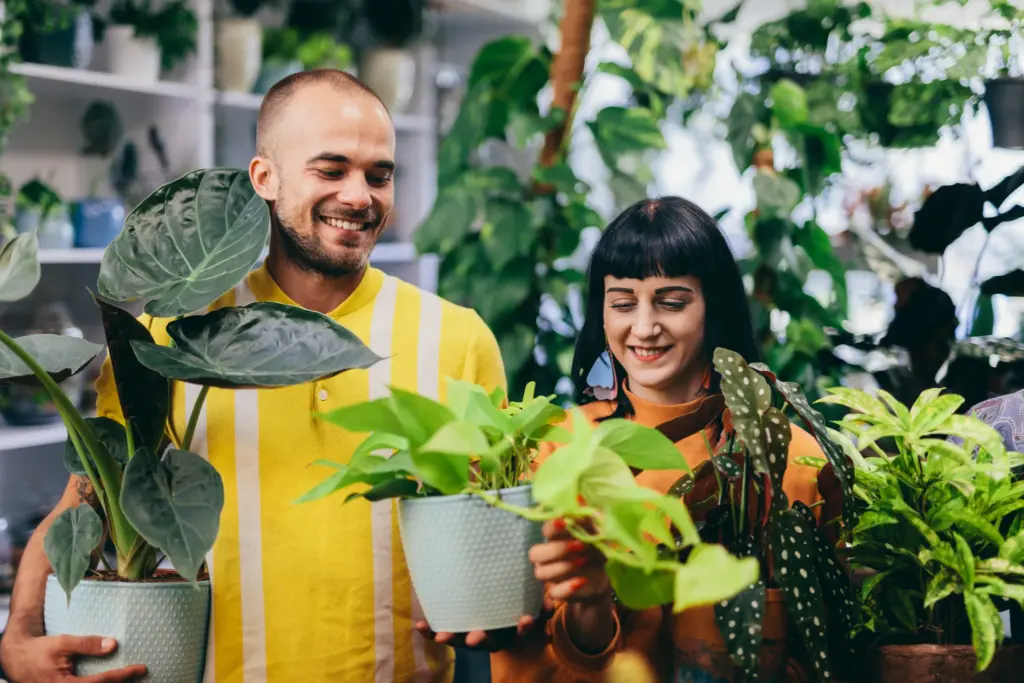 Best Indoor Air Cleaning Plants Green and Clean Home Services