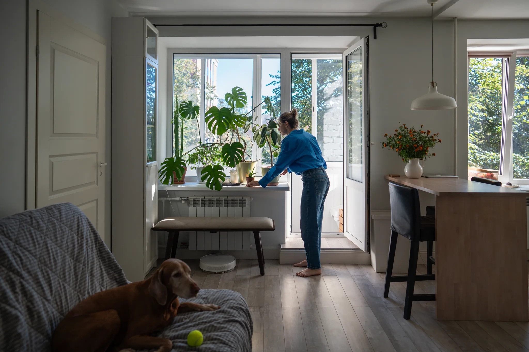 How to Check Indoor Air Quality