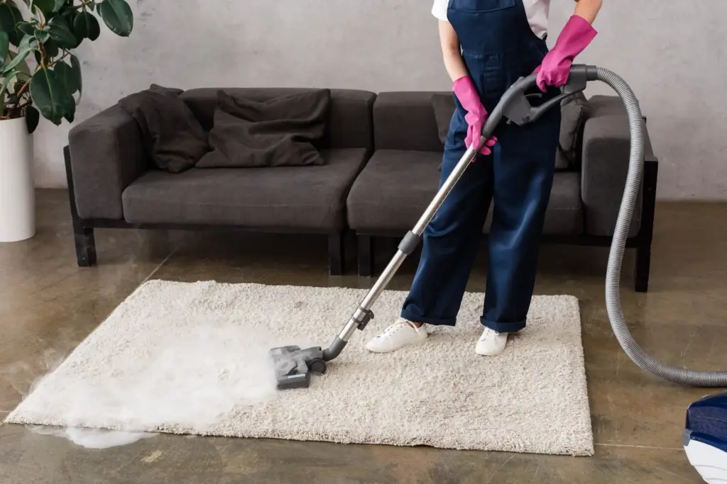 Which Carpet Cleaner Is Best Eastlake Ohio