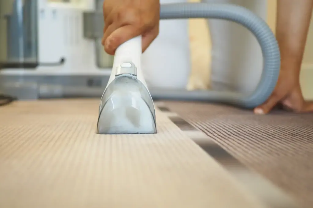 Which Carpet Cleaner Is Best Mentor Ohio