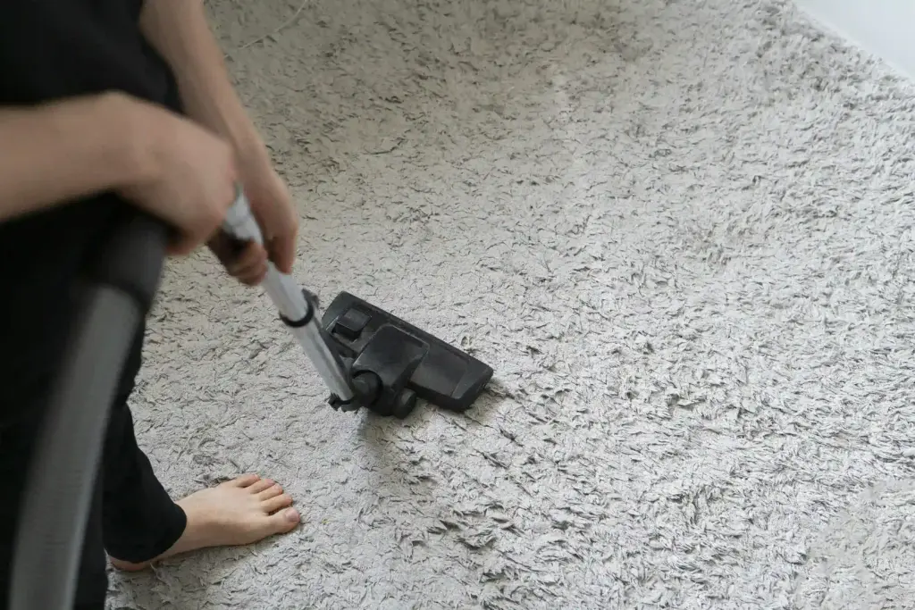 How Remove Carpet Stains Willoughby Ohio