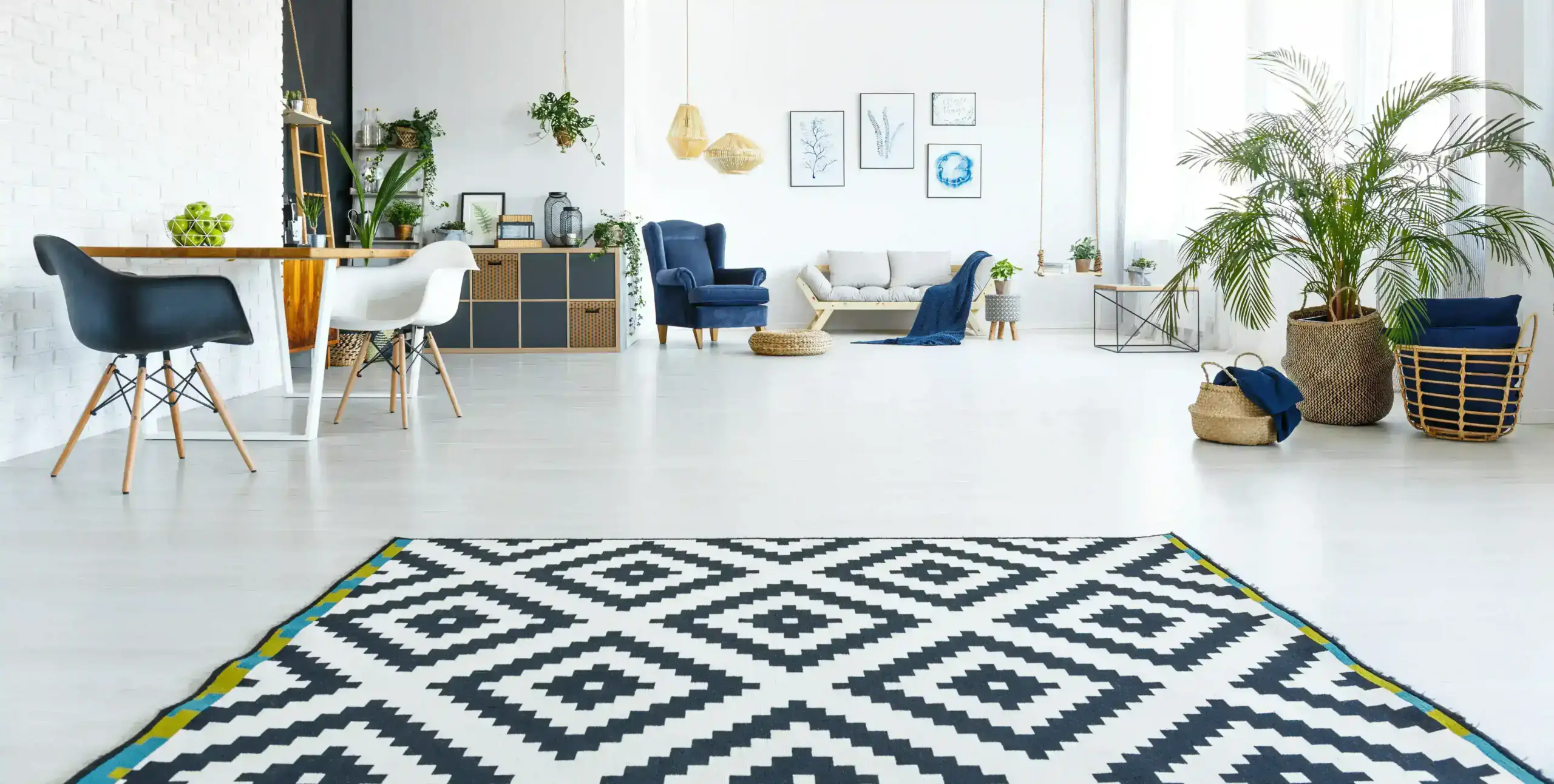 Where Does Carpet Beetle Come From Willoughby Ohio