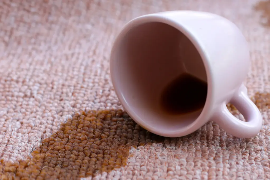 How Clean Carpet Stains Cleveland Ohio