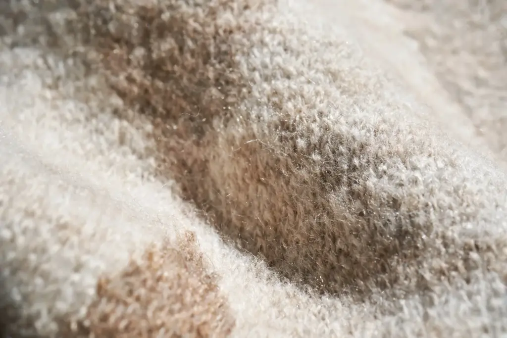 How Clean Carpet Stains Euclid Ohio