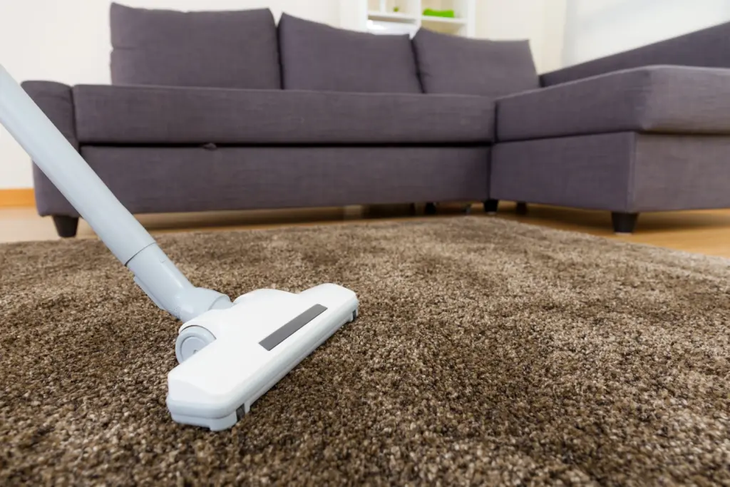 How Much Carpet Cleaning Mayfield Heights Ohio