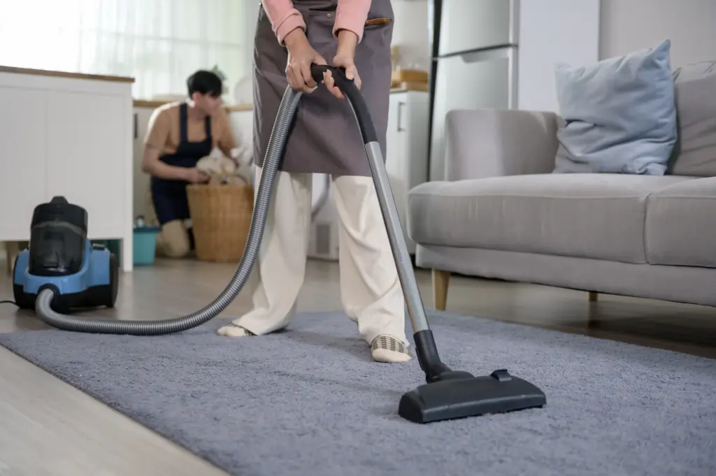 What Carpet Cleaner Is The Best Brooklyn Heights Ohio