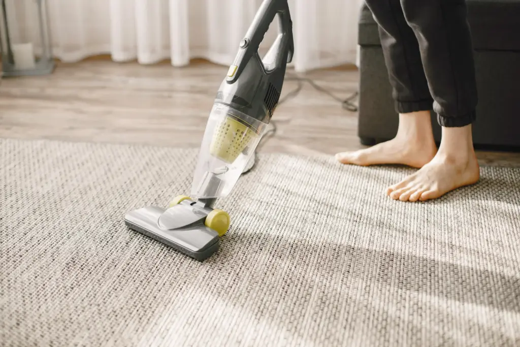 What Carpet Cleaner Is The Best Olmsted Falls Ohio