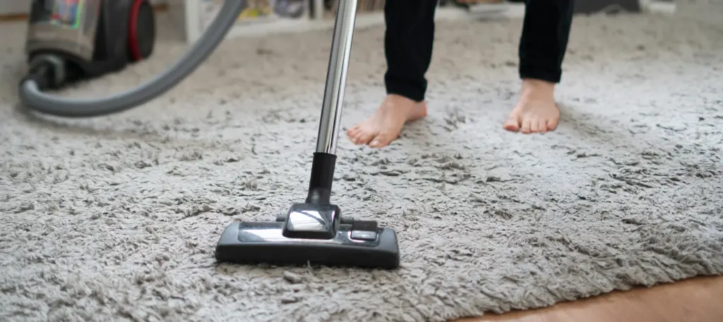 What Carpet Cleaning Solution Is The Best North Olmsted Ohio