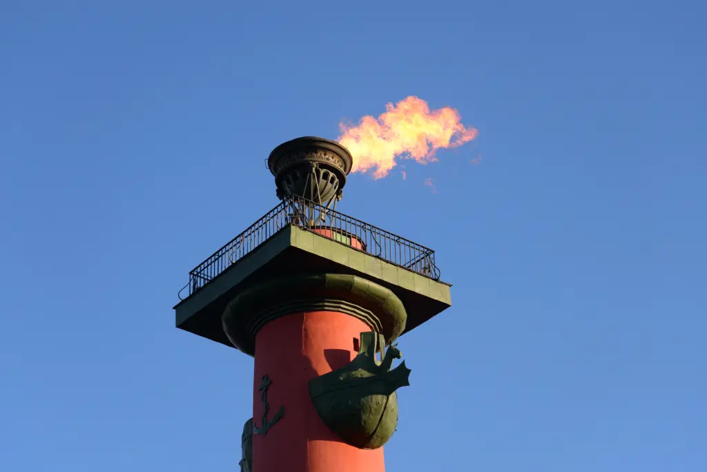 what's the fire in the chimney called Parma Ohio 1