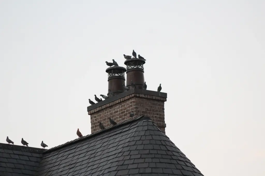 How To Repair A Chimney Cap Laconia NH